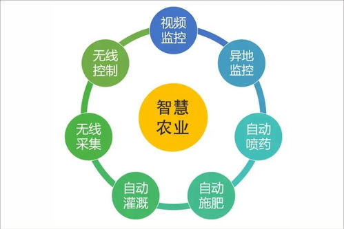 浙江新田鋪智慧農(nóng)業(yè)蔬果工廠正式投產(chǎn) 信息系統(tǒng)運(yùn)行維護(hù)服務(wù)開(kāi)啟現(xiàn)代農(nóng)業(yè)新篇章